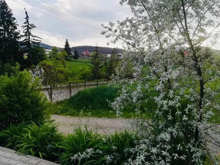 Pensiunea Valurile Bistritei Dornavátra Kültér fotó